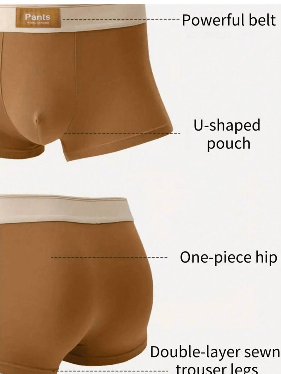 //img.ltwebstatic.com/v4/p/spmp/2025/11/23/1a/1763905056c056f0f222d68c31c933f22f8a44c18c_thumbnail_900x.webp