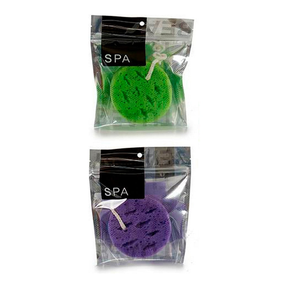 Body Sponge