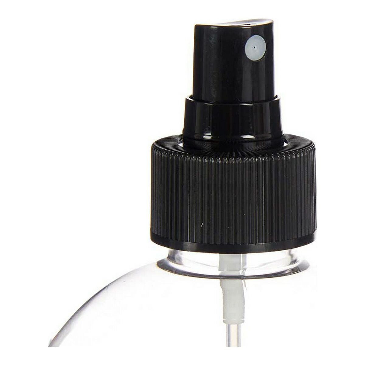 Sprayer Black Transparent Plastic (500 ml)