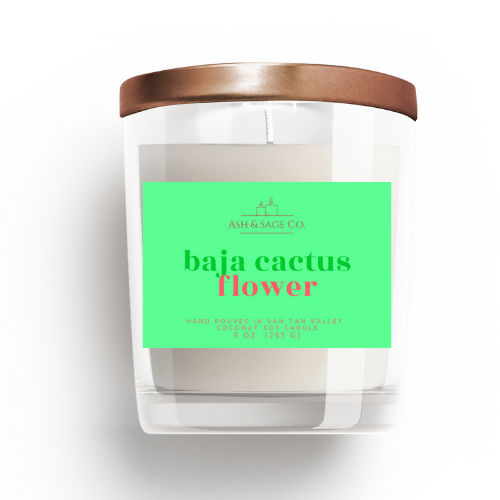 Baja Cactus Flower